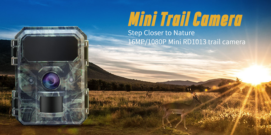 Mini Trail Camera