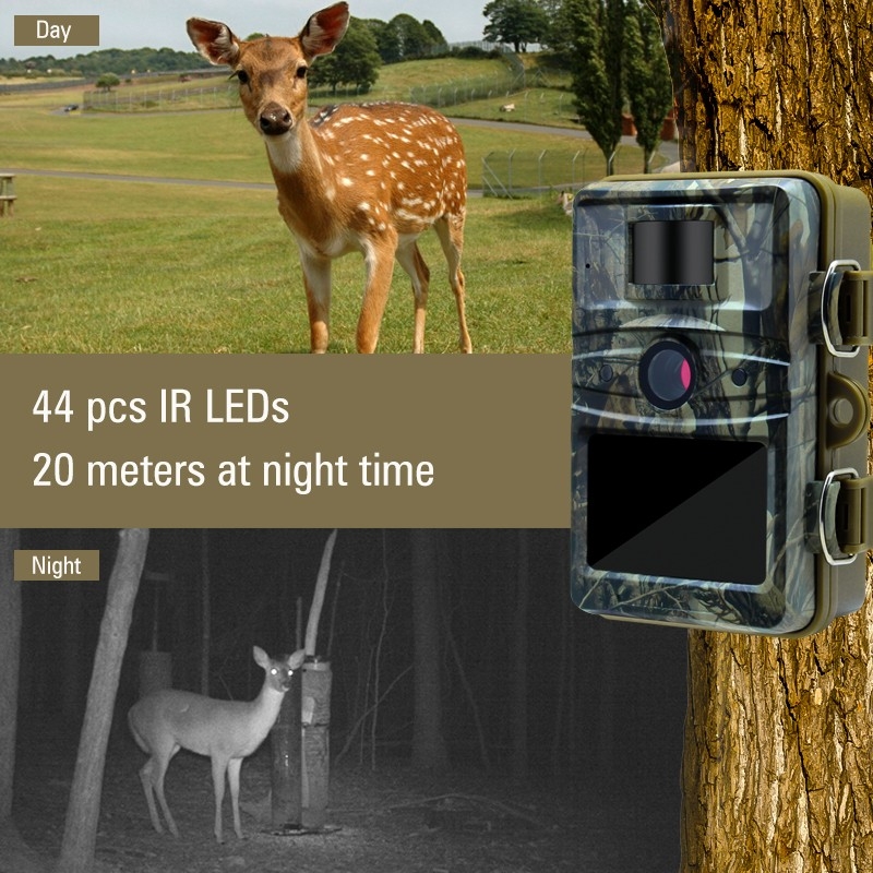 econmic entry level hunting camera
