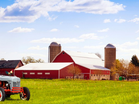 Farm Monitoring