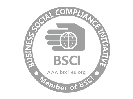 BSCI inspction completed successfully